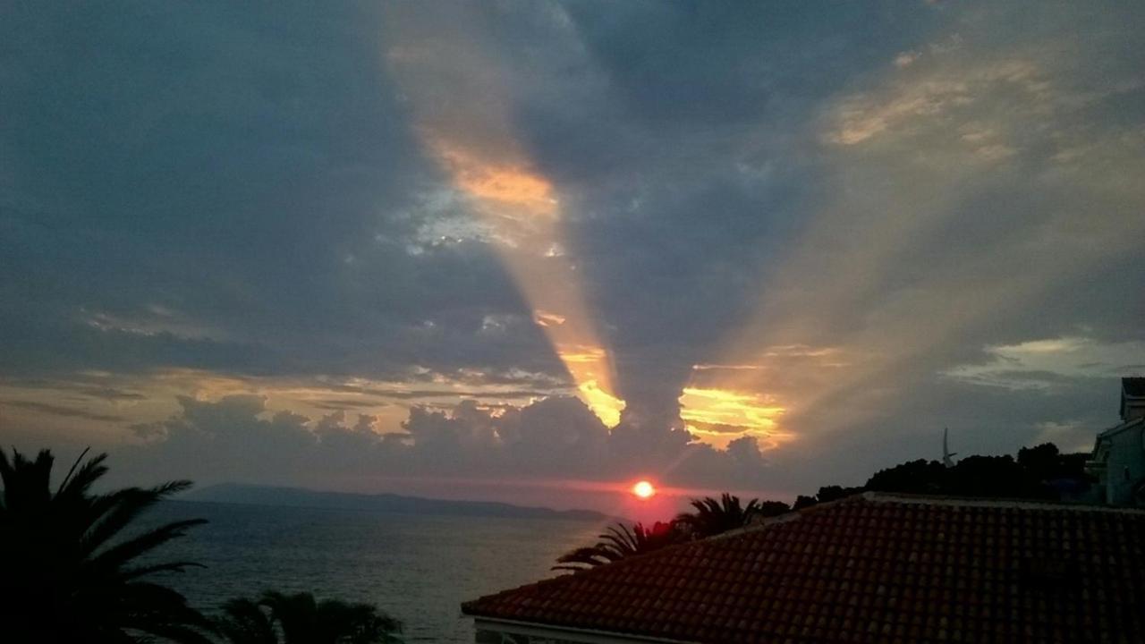 Aart Podgora